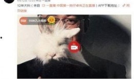 王珞丹被爆料视频,真相与争议并存